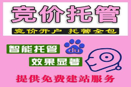 深度解析百度竞价包年服务：某行业领先企业的营销策略