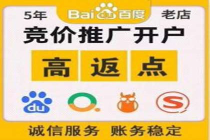 百度SEO推广公司案例分享：实战优化策略解析